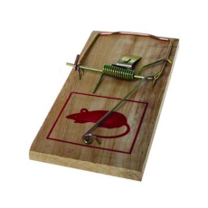 Wooden Mouse Trap